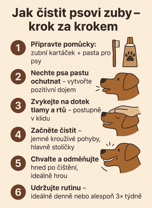cisteni-krok-za-krokem